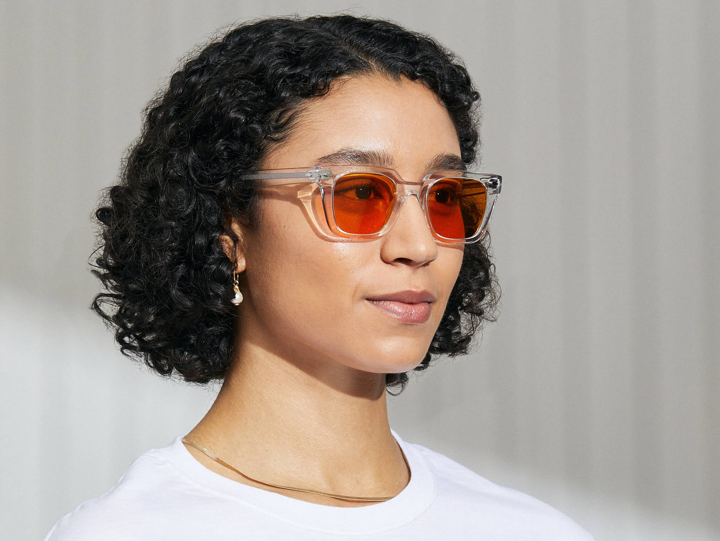 Moscot Grober Crystal With Custom Made Tints Sunglasses