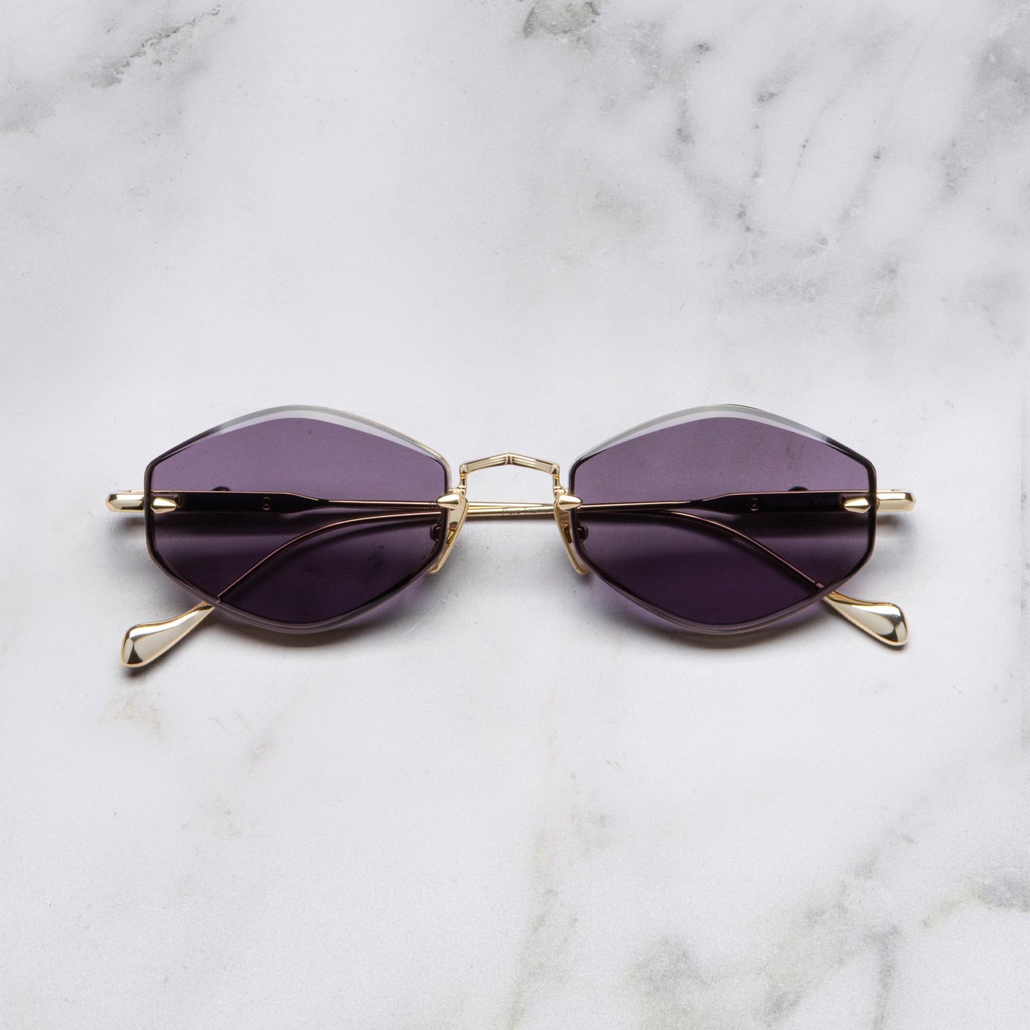 Cutler and Gross The Great Frog Carol Rectangular Sunglass