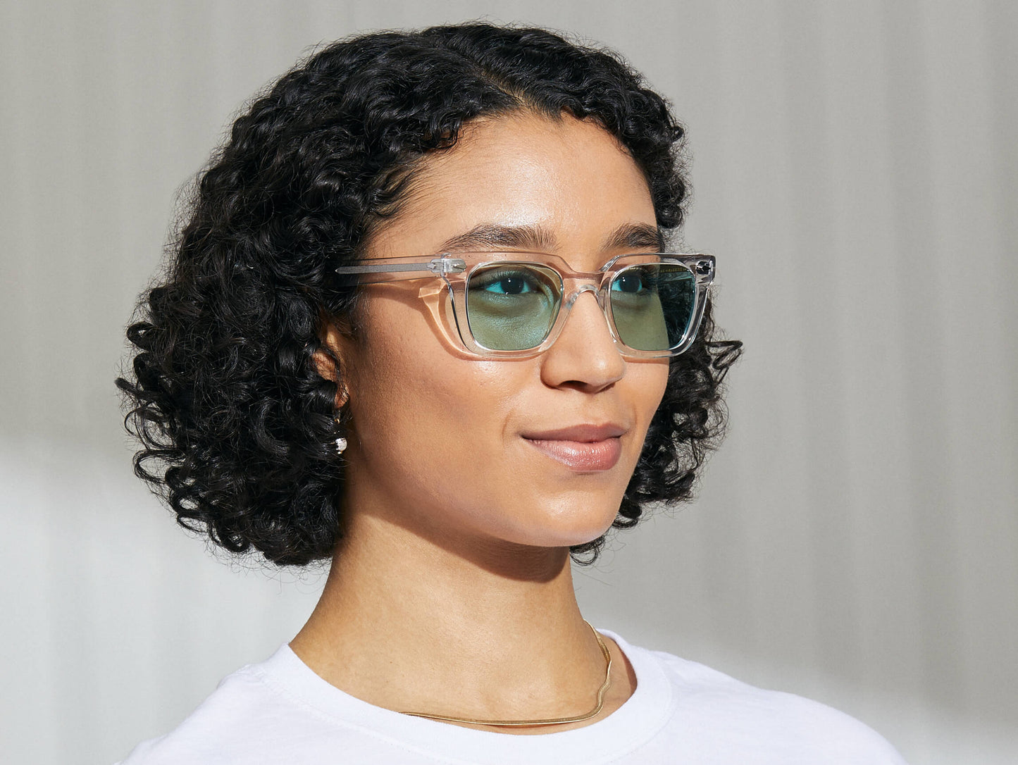 Moscot Grober Crystal With Custom Made Tints Sunglasses