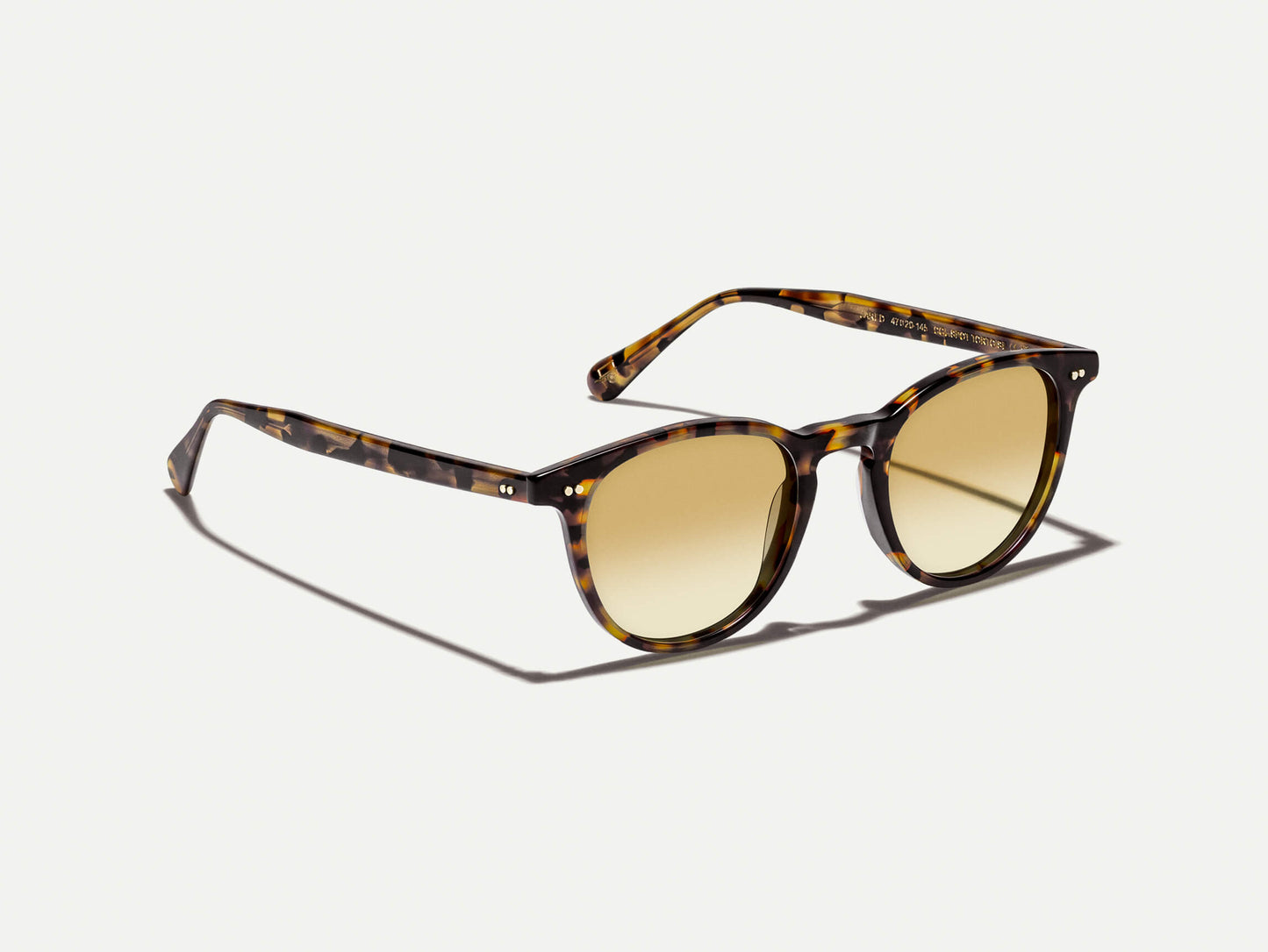 Moscot Jared Sun