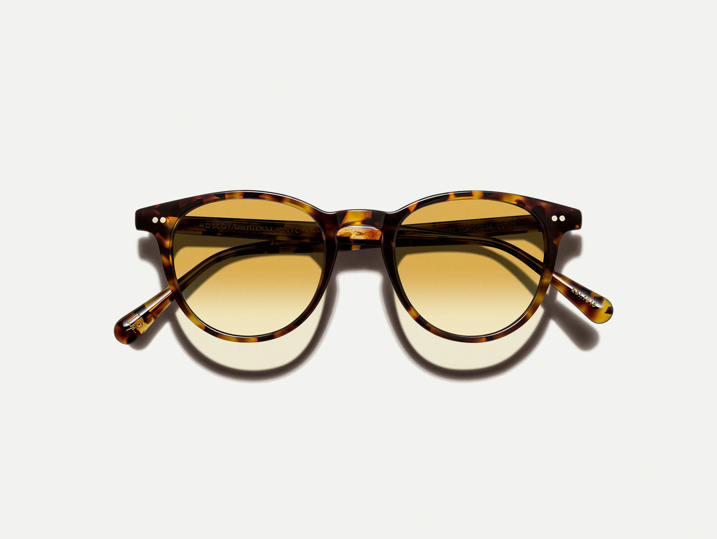 Moscot Jared Sun