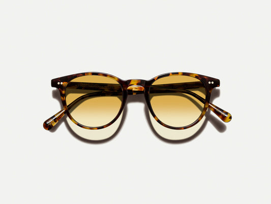 Moscot Jared Sun