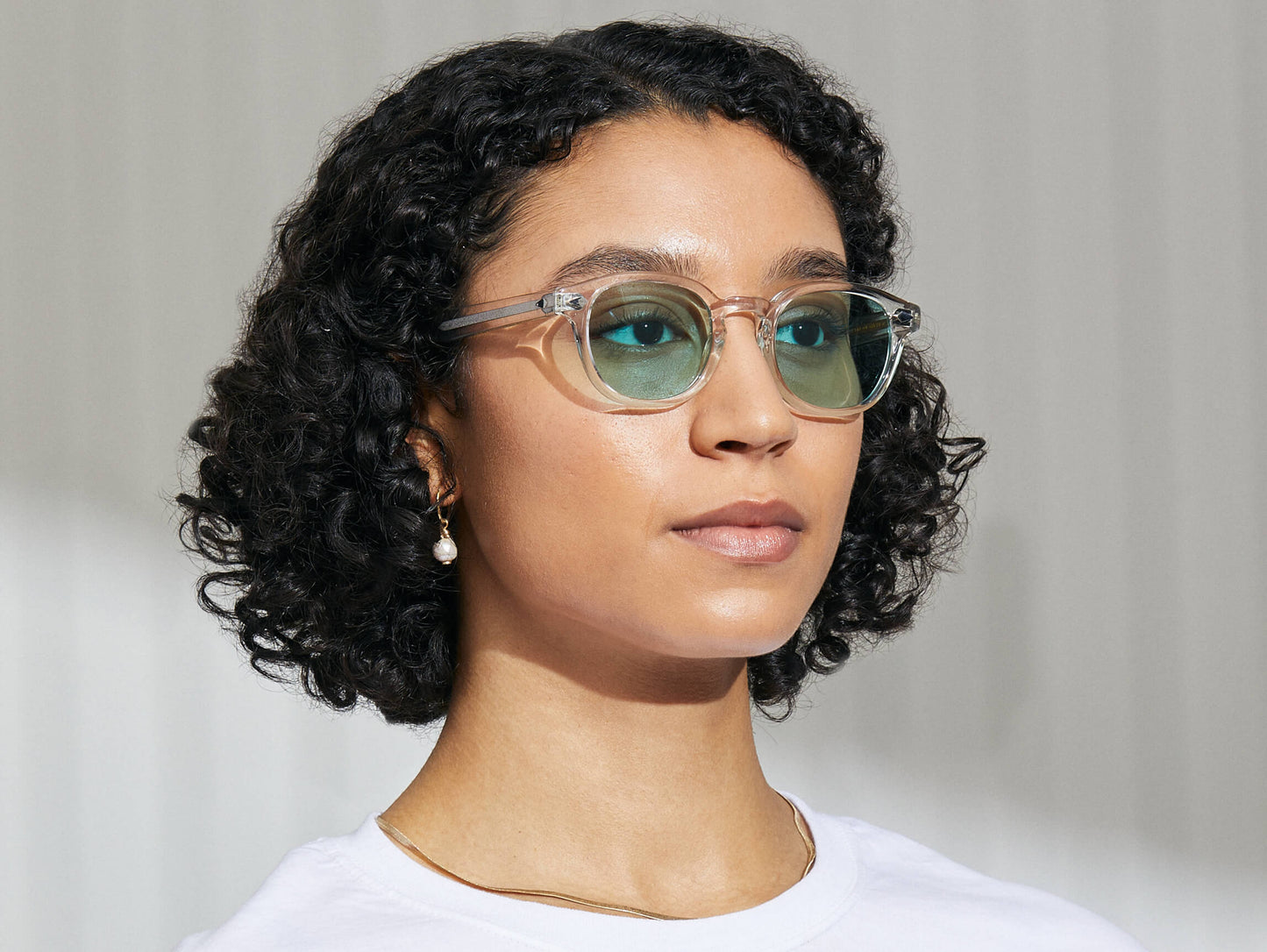 Moscot Lemtosh Crystal With Custom Made Tints Sunglasses
