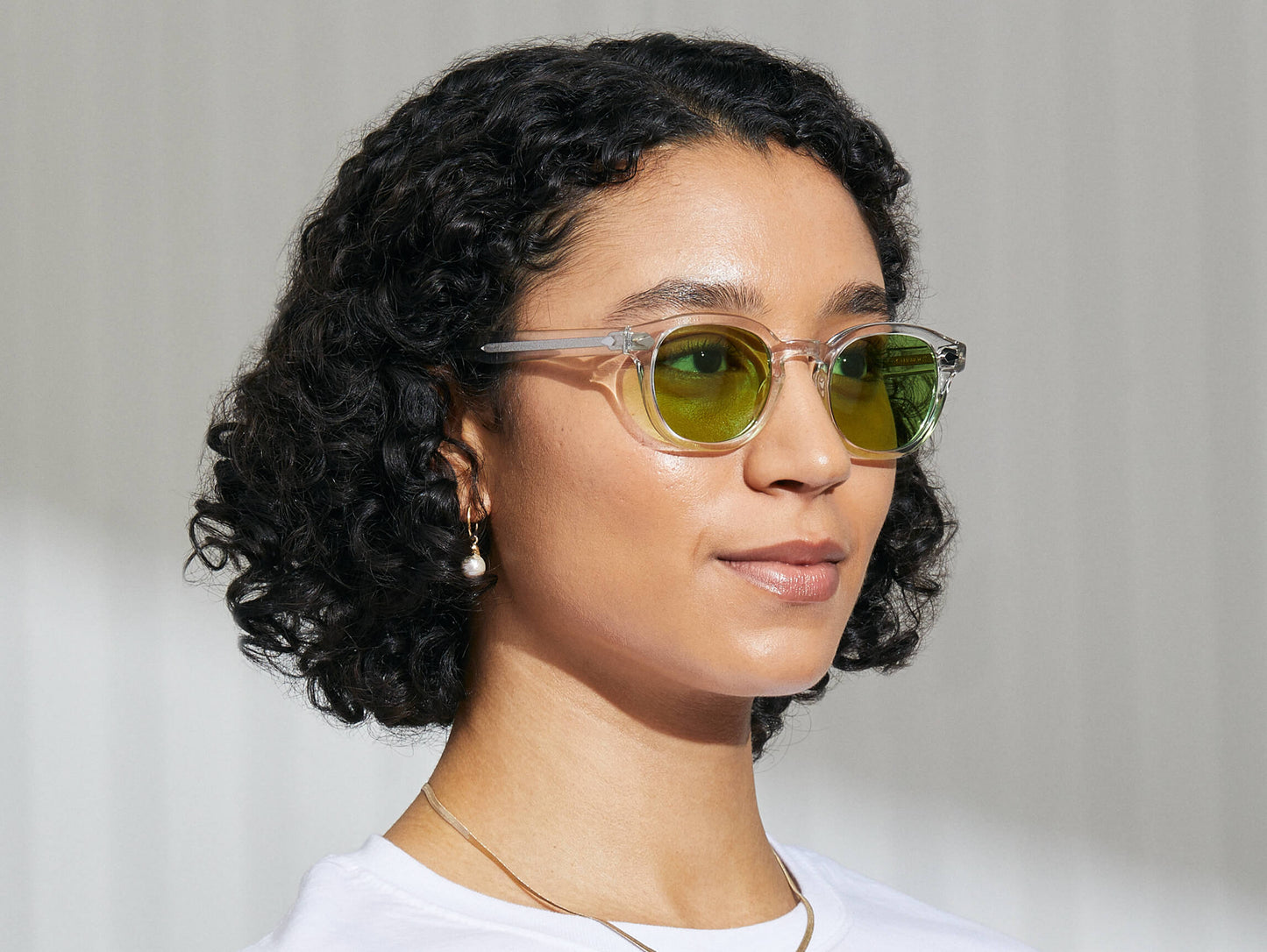 Moscot Lemtosh Crystal With Custom Made Tints Sunglasses