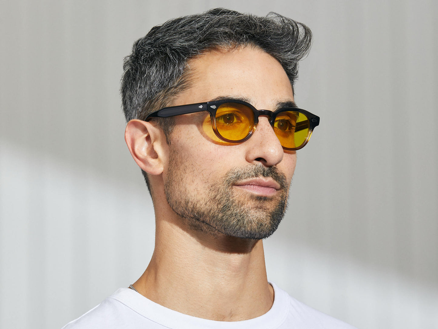 Moscot Lemtosh Monochrome Grey-Brown Fade Sunglasses
