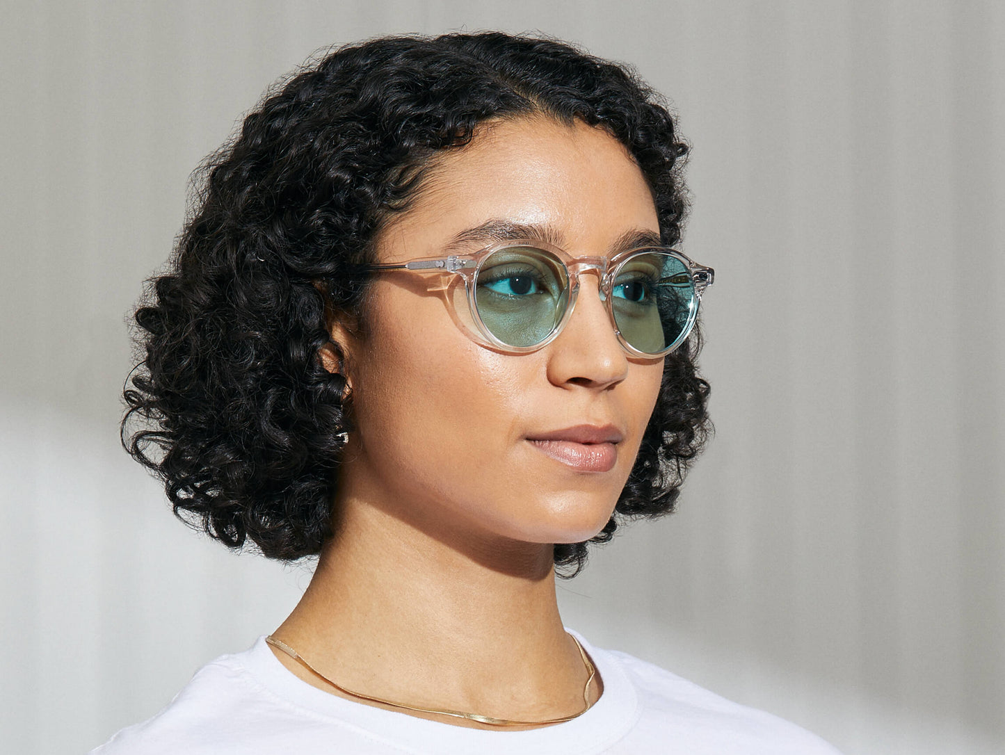 Moscot Miltzen Crystal With Custom Made Tints Sunglasses