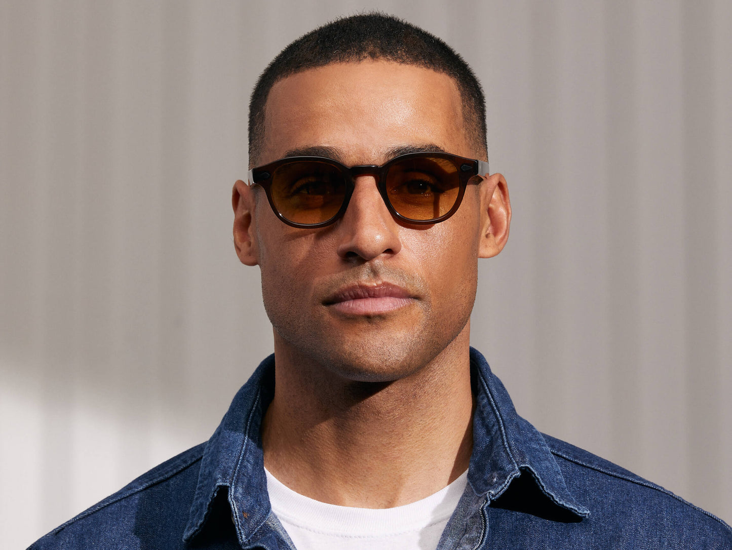 Moscot Lemtosh Monochrome Brown Sunglasses