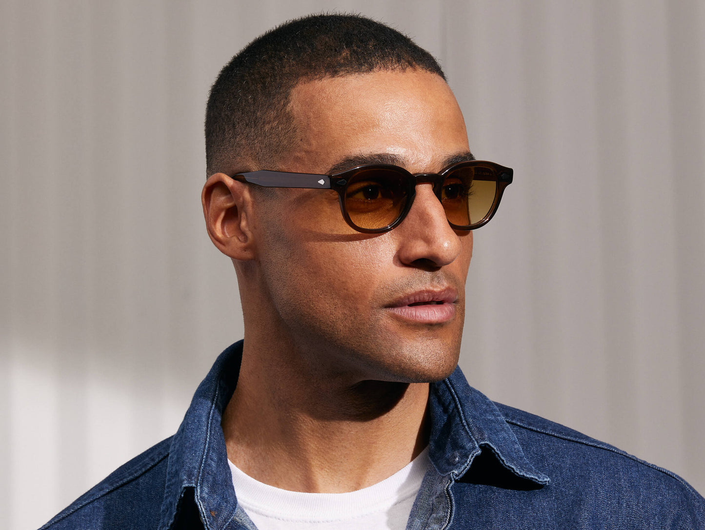 Moscot Lemtosh Monochrome Brown Sunglasses