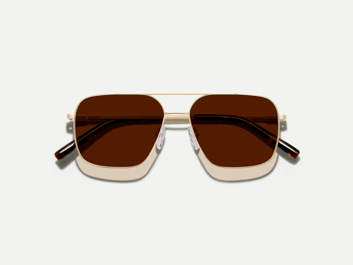 Moscot Shtarker Sun