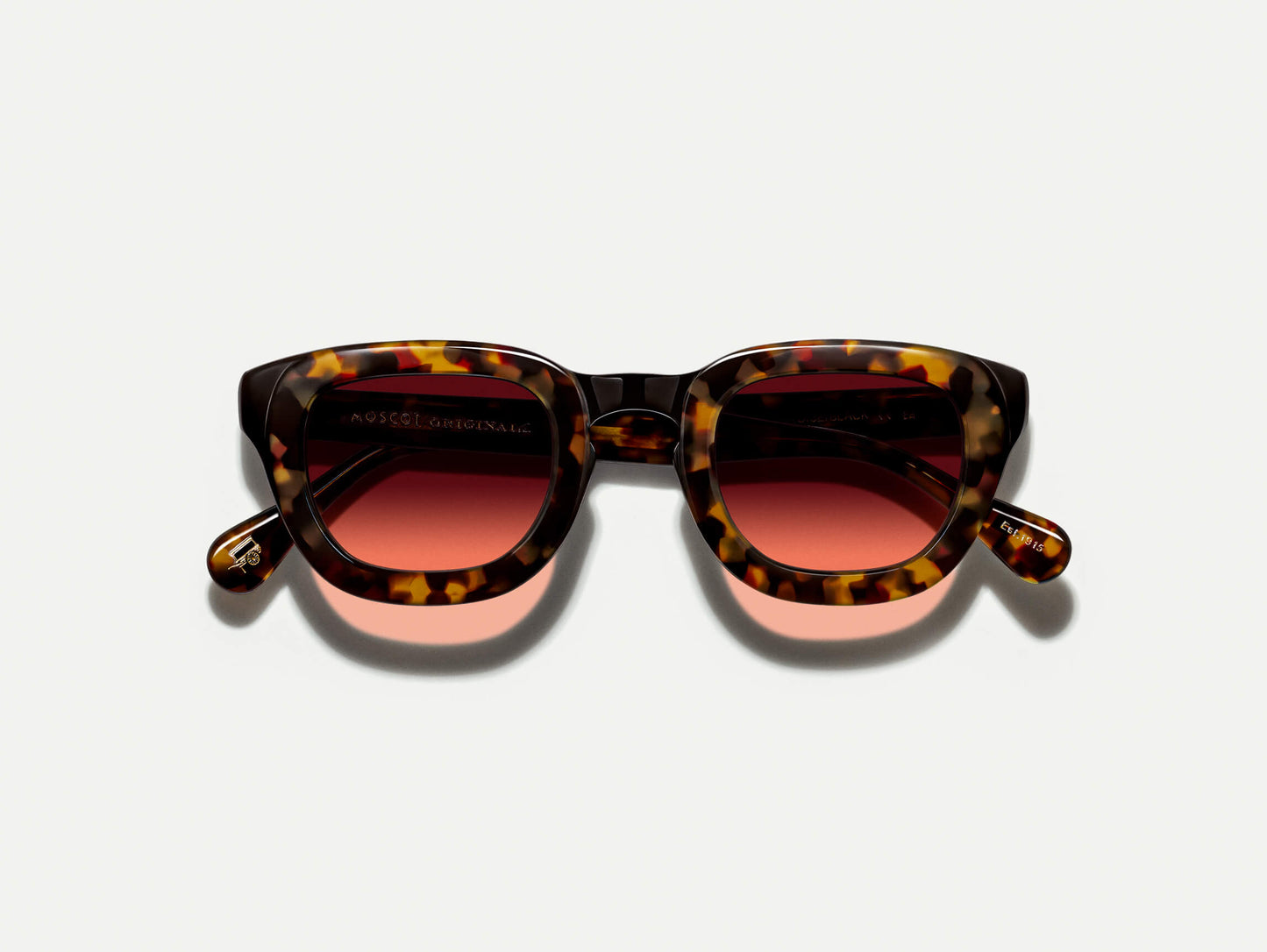 Moscot Telena Tortoise/Black With Custom Made Tints Sunglasses