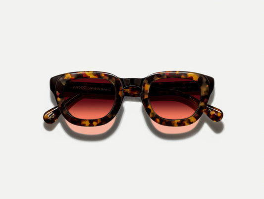 Moscot Telena Tortoise/Black With Custom Made Tints Sunglasses